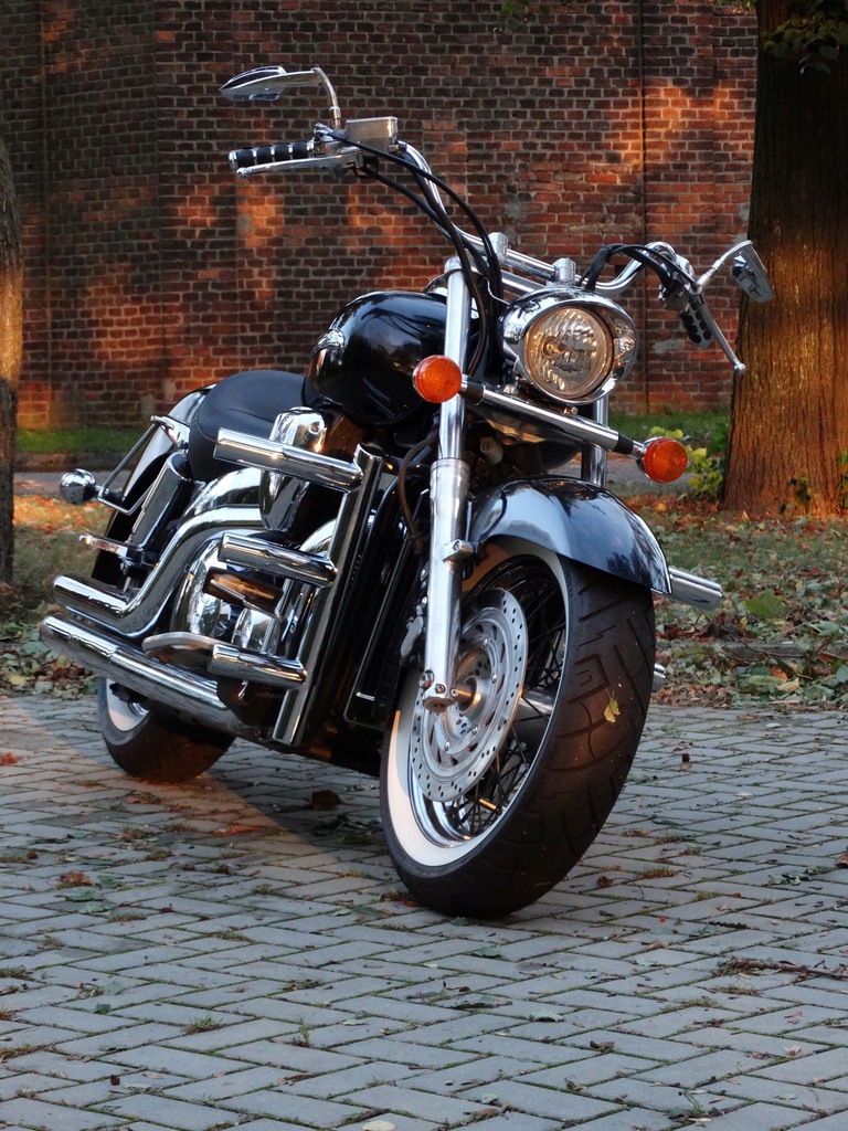 VTX 1300 Custom