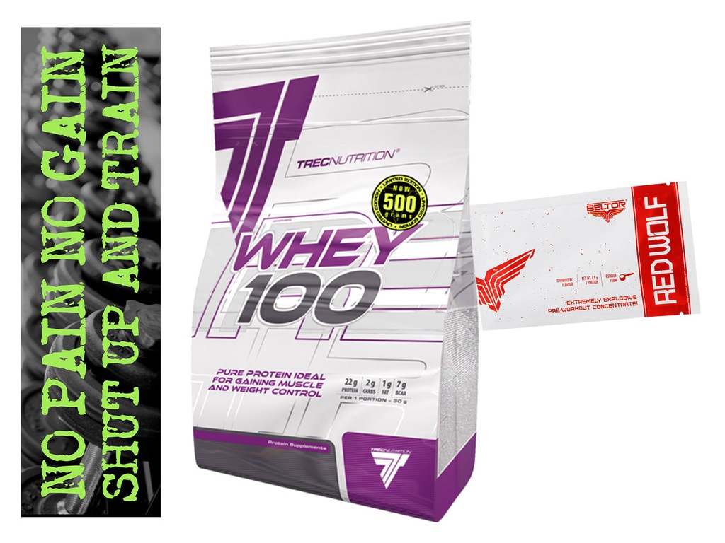 TREC WHEY 100 500g BIAŁECZKO BIAŁKO WPC SERWATKA