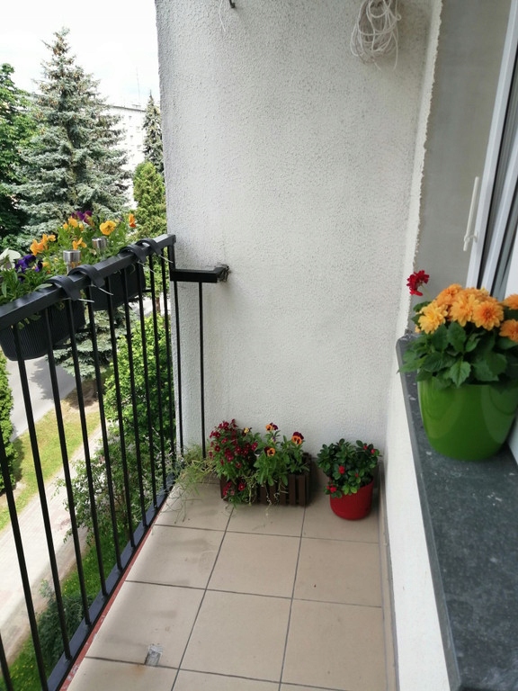 Mieszkanie, Leżajsk (gm.), 43 m²