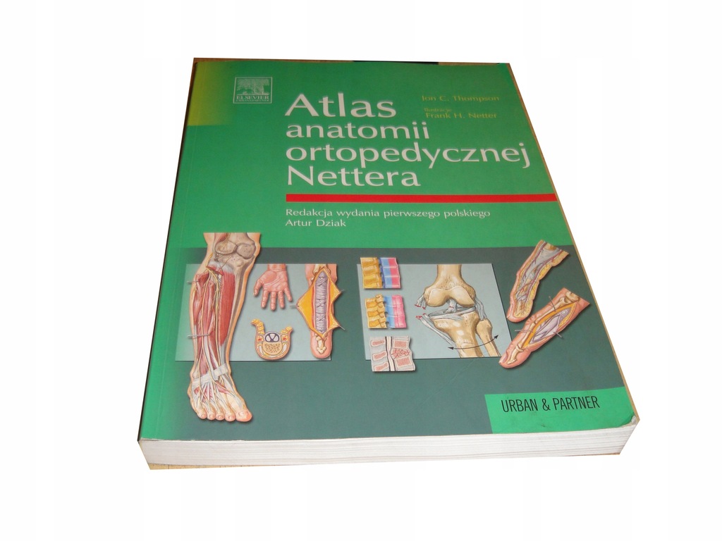 ATLAS ANATOMII ORTOPEDYCZNEJ NETTERA Thomson B5