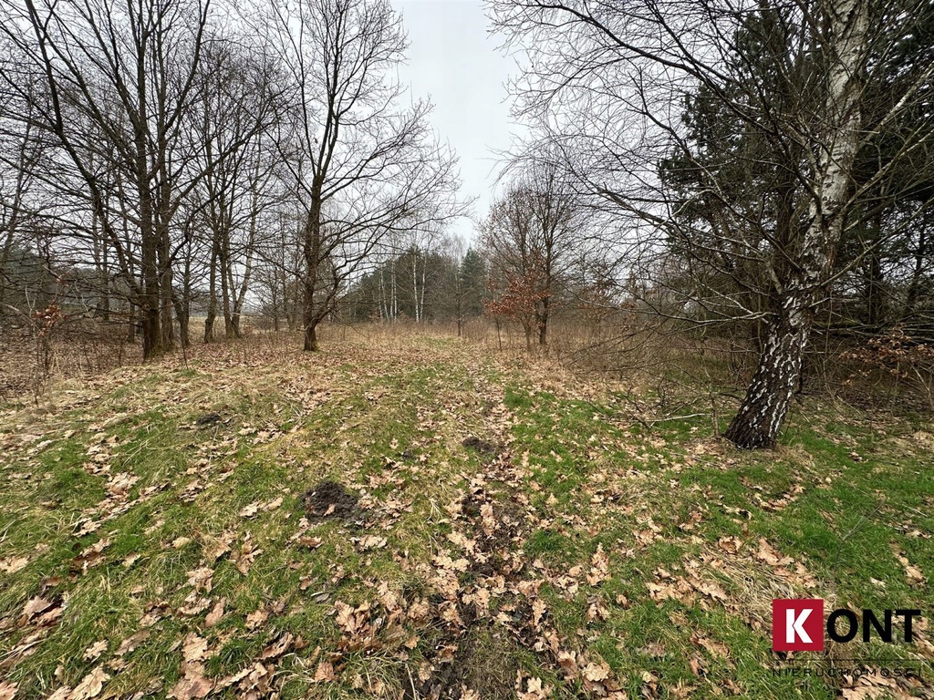 Działka, Sanka, Krzeszowice (gm.), 17297 m²