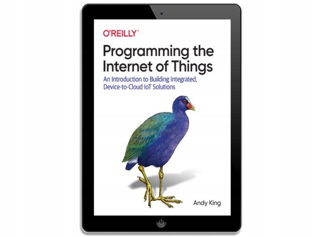 Programming the Internet of Things