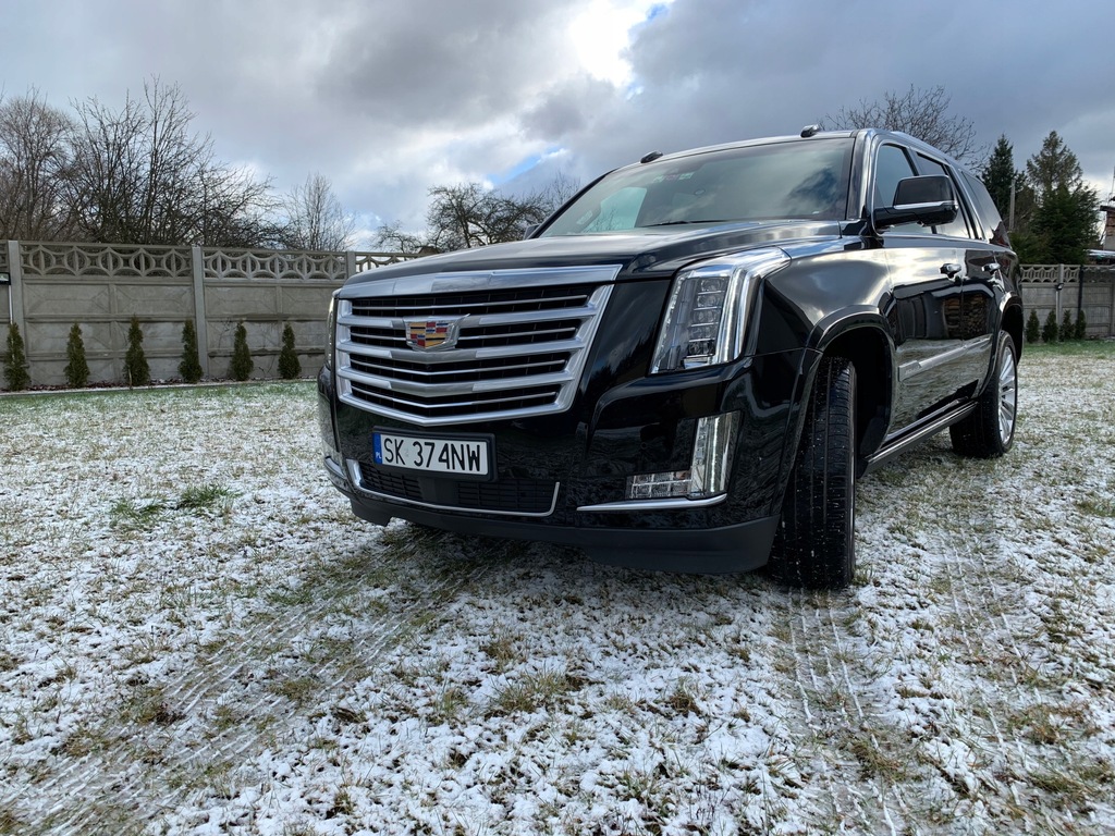 Купить CADILLAC ESCALADE ПОЛЬША ГАРАНТИЯ GLS X7 Q7 Q8 GL: отзывы, фото, характеристики в интерне-магазине Aredi.ru