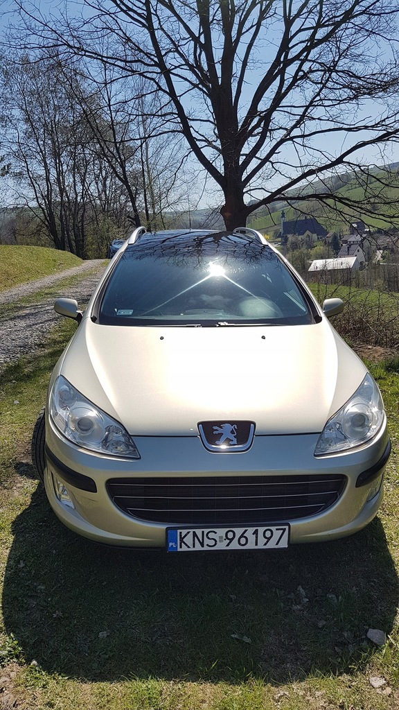 Купить PEUGEOT 407 SW (6E_) 1.6 HDi 110 109 л.с.: отзывы, фото, характеристики в интерне-магазине Aredi.ru