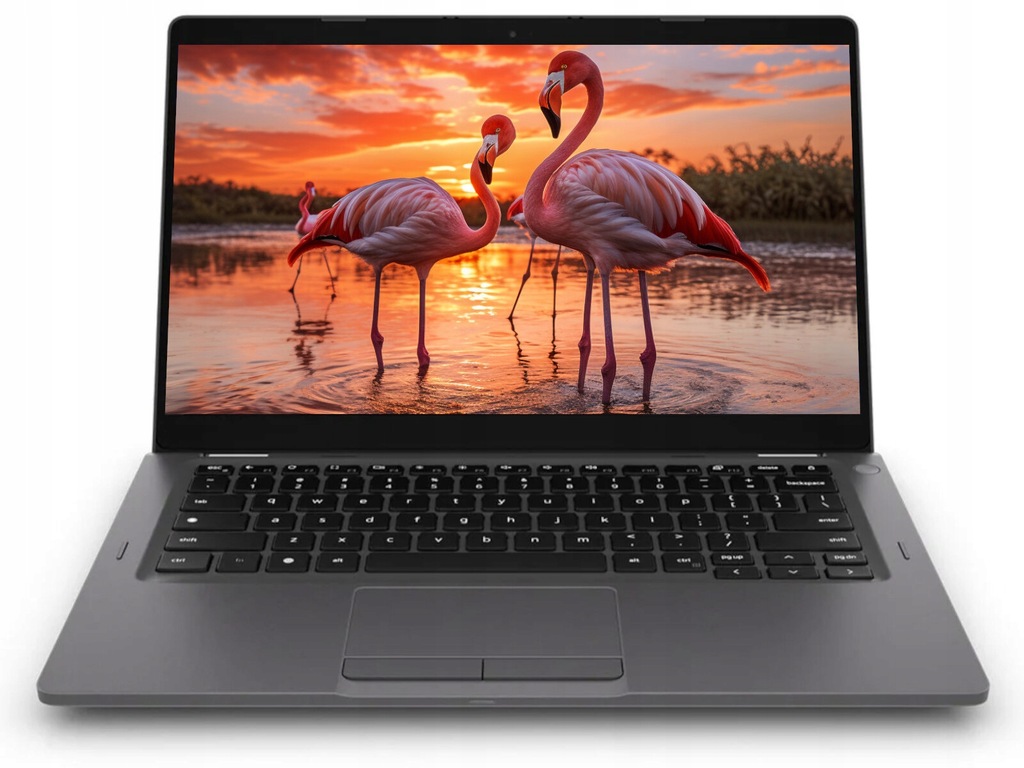 LAPTOP DOTYKOWY DELL LATITUDE 5300 2W1 i5 DDR4 SSD FHD LED DP OFFICE WIN11P