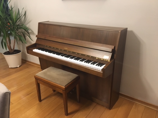 Doskonałe pianino mechanizm Renner