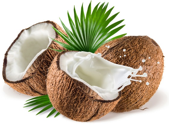 Купить Настоящее тайское кокосовое молоко 250 мл Молоко: отзывы, фото и ...