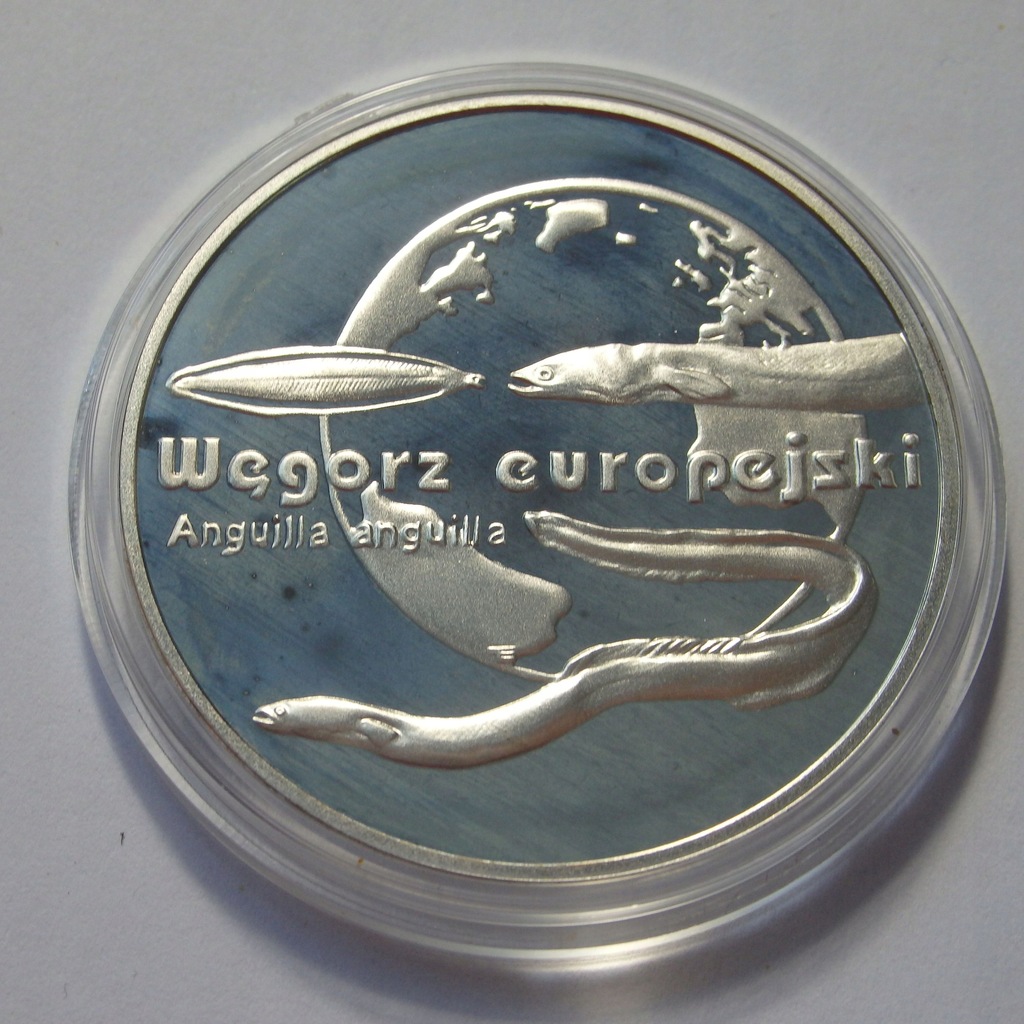 20 zł Węgorz Europejski, 2003r. Ag X4900