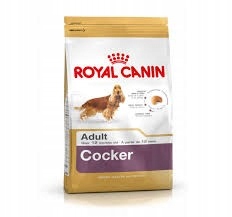 Karma psa Royal Canin Cocker Spaniel Adult 12kg