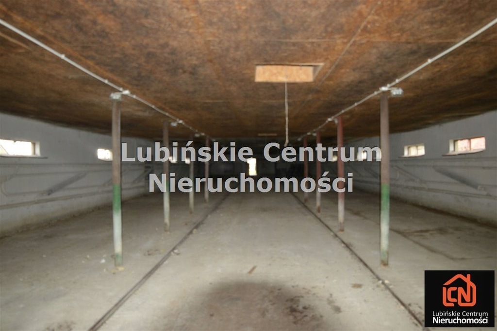 Magazyny i hale, Miroszowice, Lubin (gm.), 500 m²