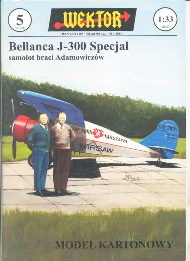 Bellanca J-300 Specjal samolot braci Wektor nr.5