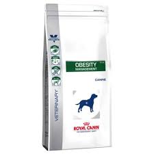 Royal Canin OBESITY MANAGEMENT 6KG PIES + KURIER