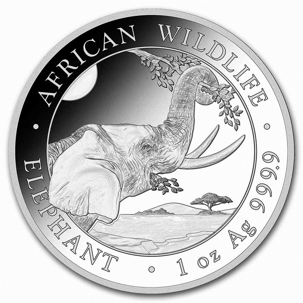 African Wildlife - Słoń Somalijski 2023 - 1 oz Ag