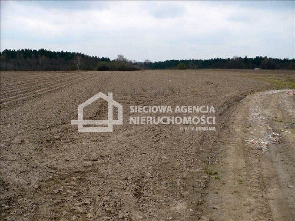 Działka, Debrzno, Debrzno (gm.), 2570 m²