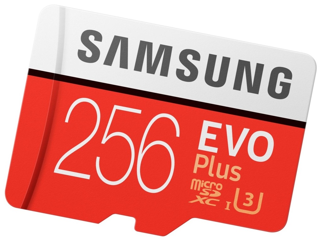 Купить Карта памяти SAMSUNG EVO+ 256 ГБ microSDXC 100 МБ/с: отзывы, фото, характеристики в интерне-магазине Aredi.ru