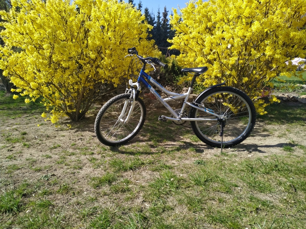 Rower Unibike koła 24 cale Kielce Rama 13 cali