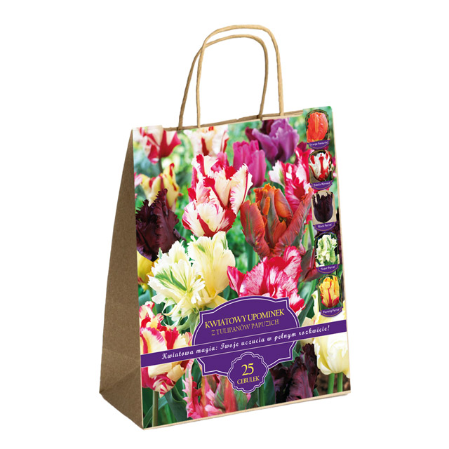 Zestaw Prestige Tulipany papuzie 25 cebulek