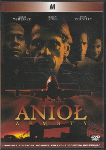 Anioł zemsty DVD