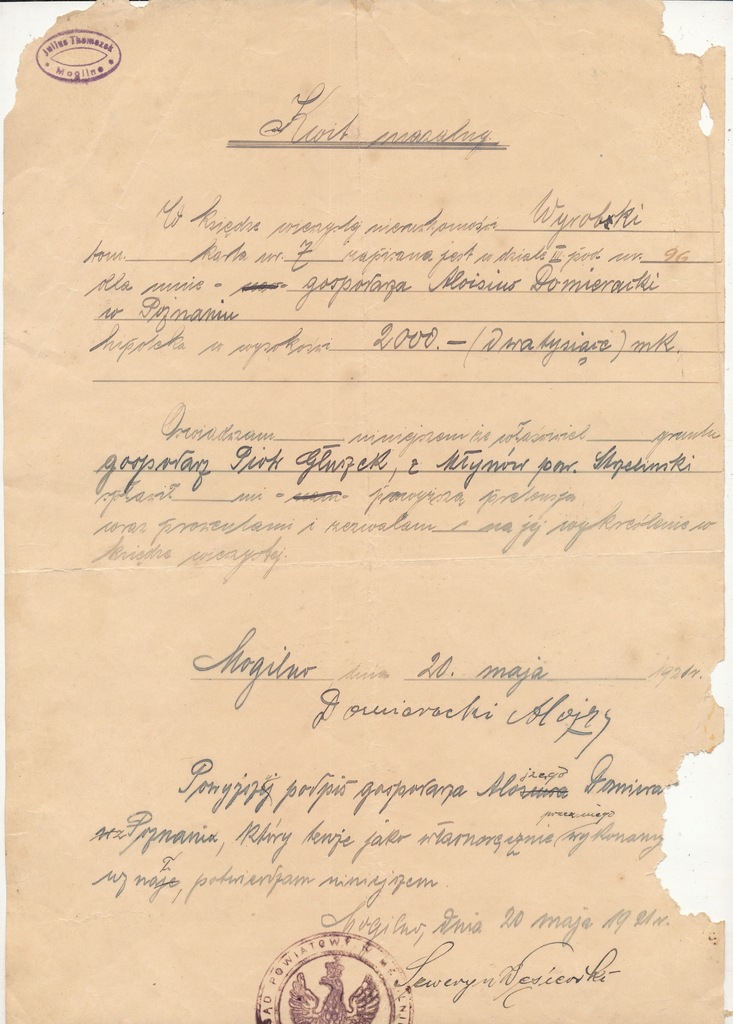 Mogilno 1921 r Dokument Kwit mazalny wym.33 X 21 cm.