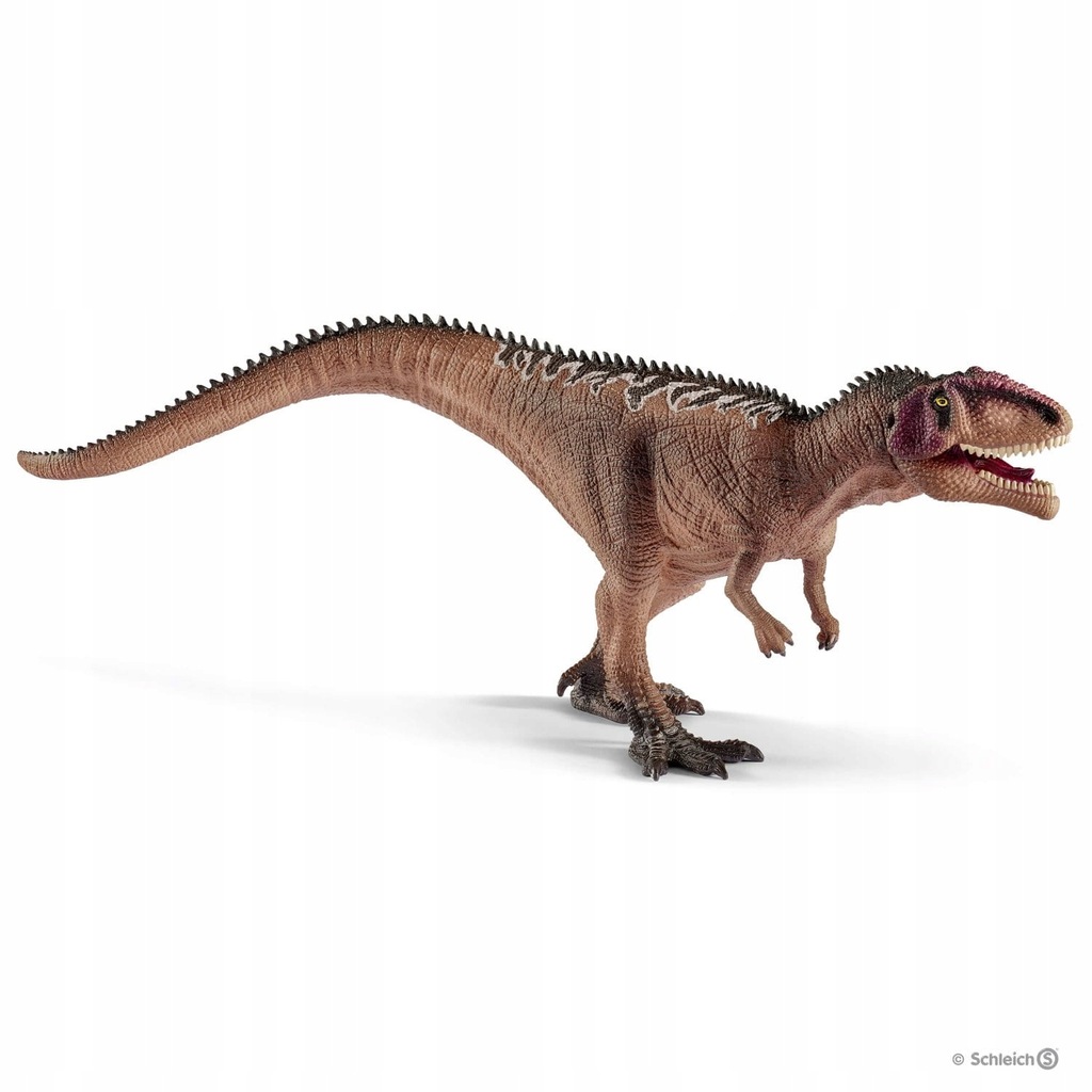 Giganotosaurus juvenile SLH15017