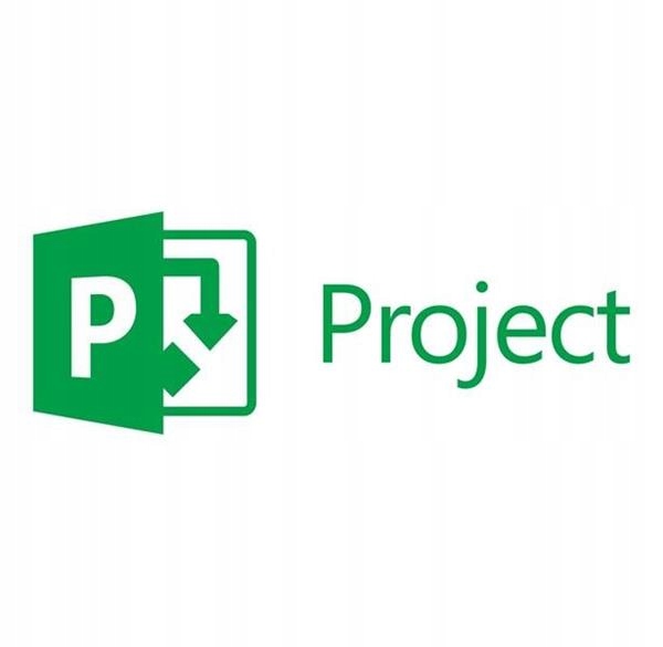 Microsoft Project Standard 2019 1 stan.; Wieczysta