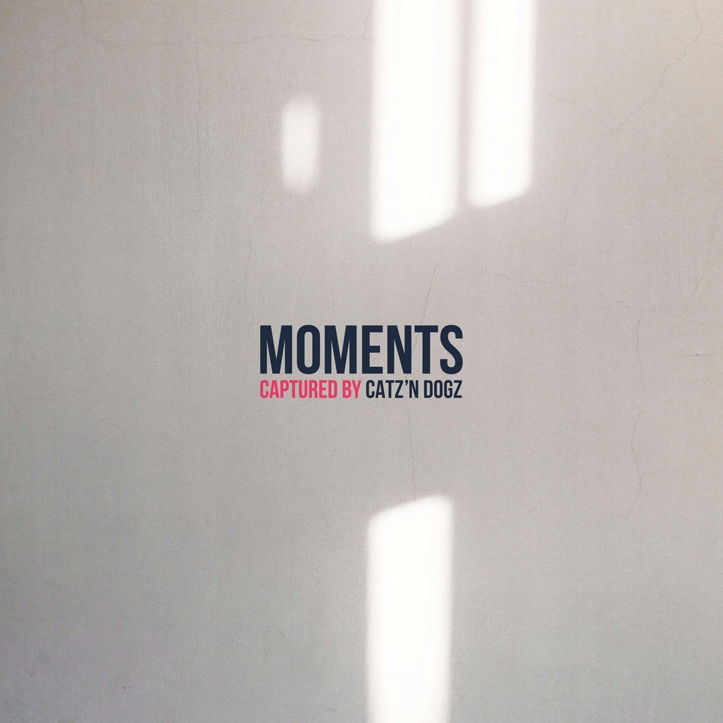 Catz N Dogz - Moments LP VINYL