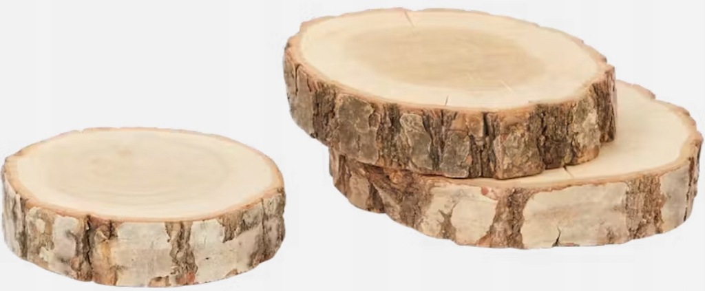 Plaster drewna brzoza fi 8-12 cm grubość 2 cm 3 szt.