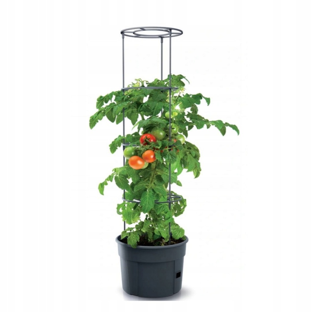 Doniczka do pomidorów Tomato Grower IPOM300