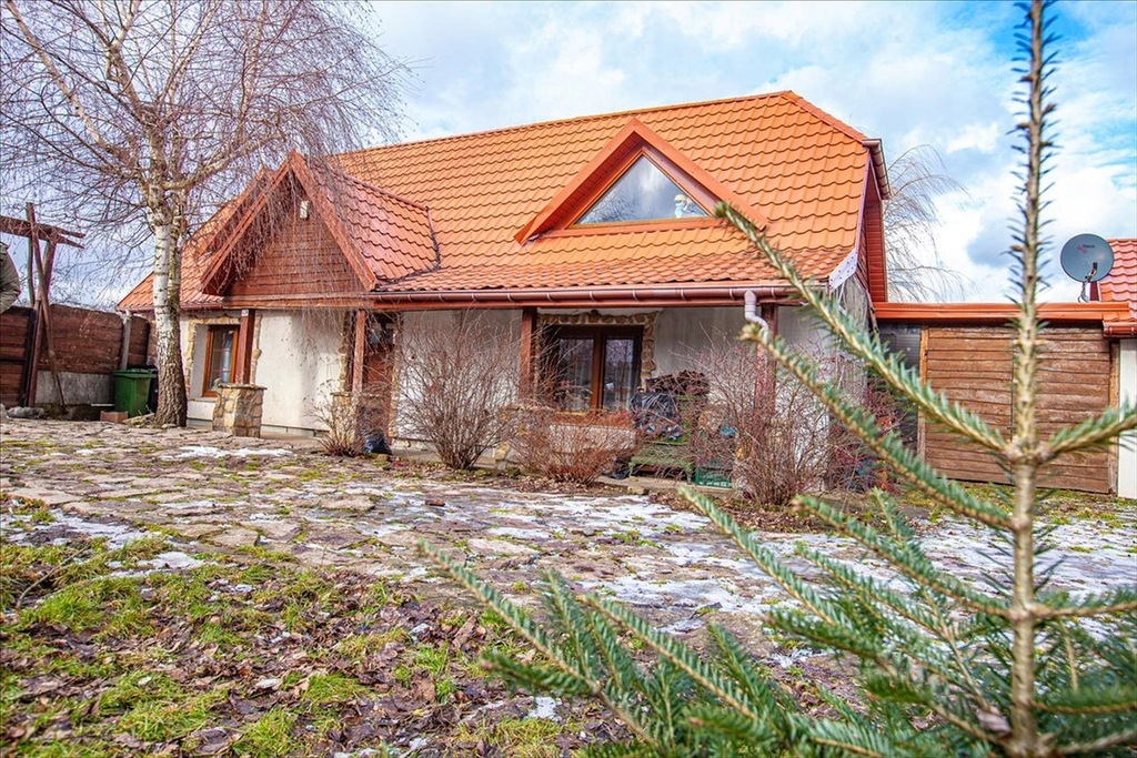 Dom, Drugnia, Pierzchnica (gm.), 100 m²