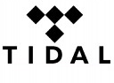 TIDAL HiFi MASTER 150 DNI