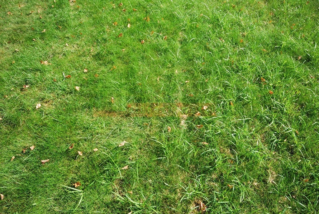 Działka, Grodków, Grodków (gm.), 941 m²