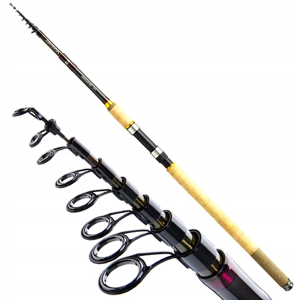 daiwa procaster tele