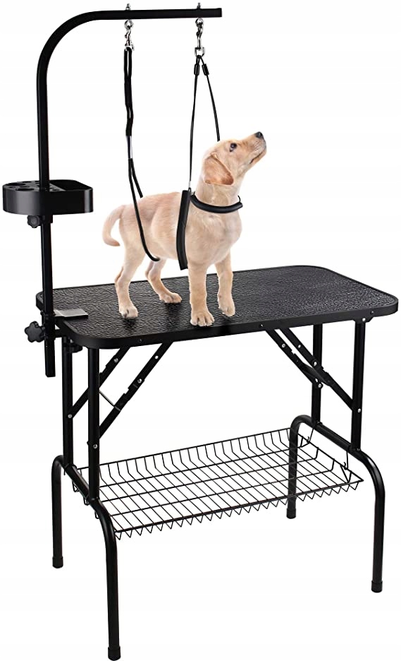 Regulowany stół do pielęgnacji psów WestKing