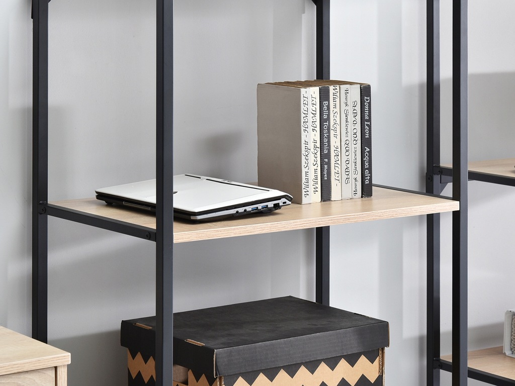 Купить ВЫСОКИЙ ПРОСТОЙ КНИЖНЫЙ ШКАФ ДЛЯ СТУДИИ OTTO A BLACK SON: отзывы ...