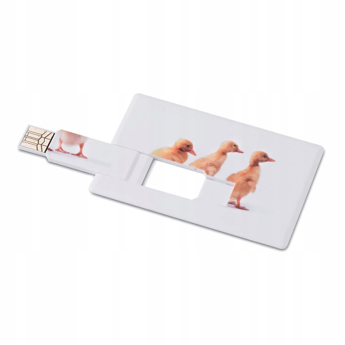 Pendrive karta USB 50 szt z logo w kolorze