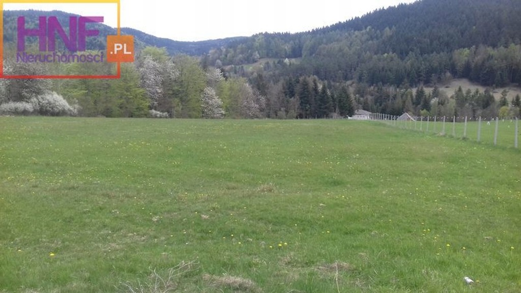 Działka, Florynka, Grybów (gm.), 11000 m²
