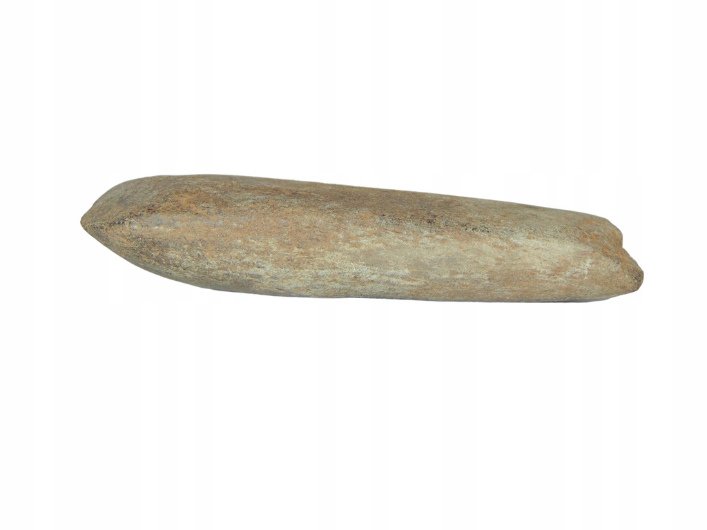 NEOLITYCZNA SIEKIERKA Około 4900-4500 r. p.n.e. CIOSŁO Niemcy (F0278)