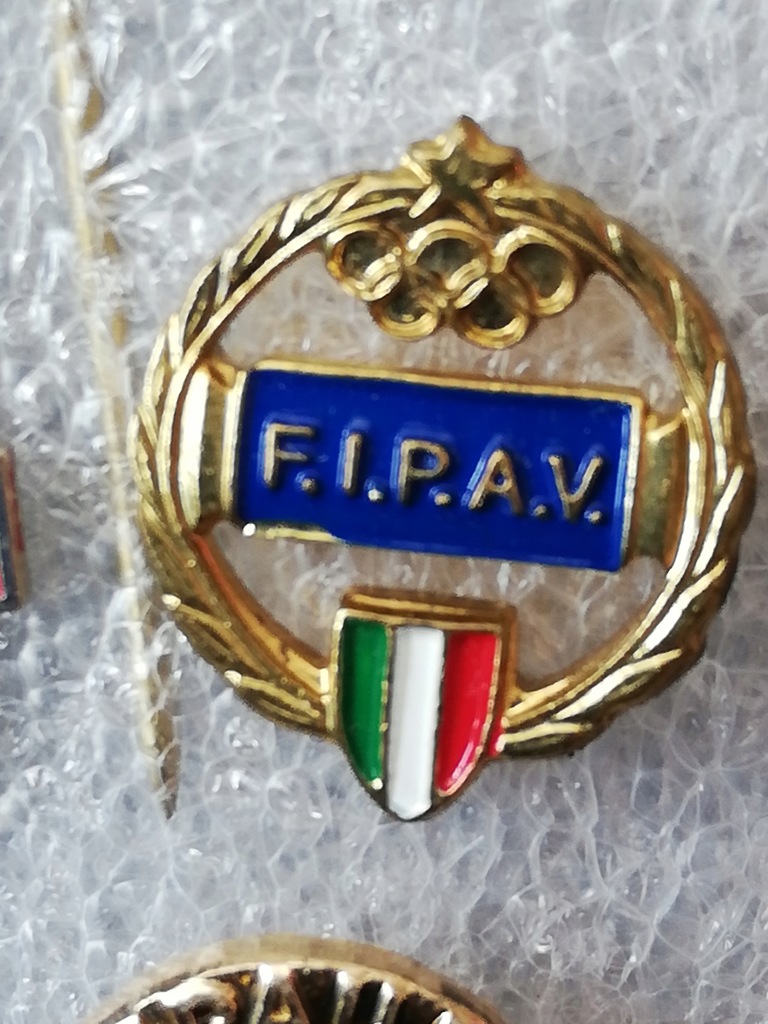 Federacja Siatkówka Włochy