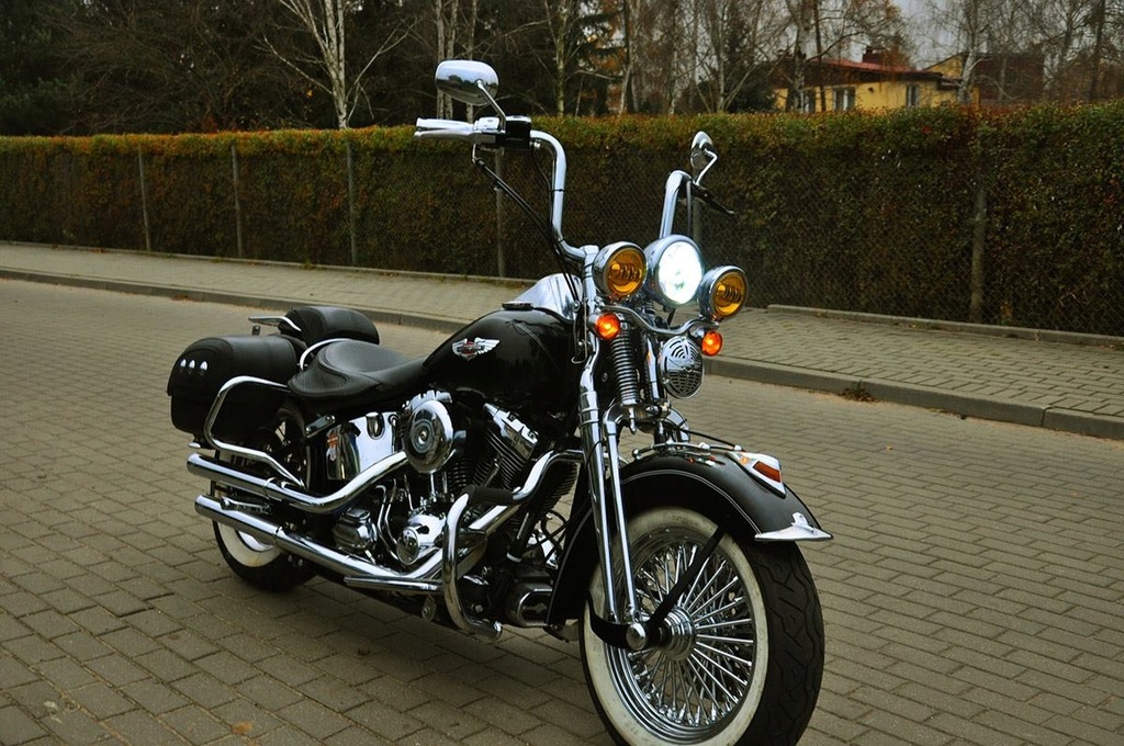 Harley Davidson Springer Softail Delux FLSTN Retro