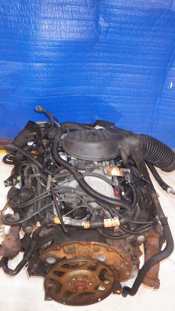 SILNIK DODGE DAKOTA DURANGO RAM 3.9 KOMPLET 8558731927 oficjalne