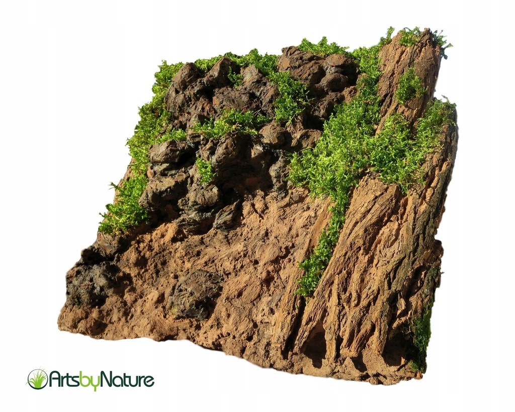 Купить Фон для ЛЕСНОГО ТЕРРАРИУМА - змея, ящерица: отзывы, фото и ...