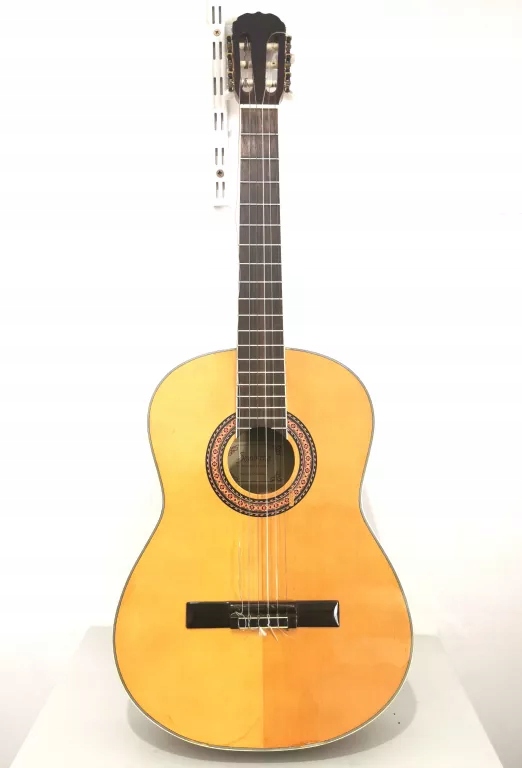 GITARA SALOBRENA C3903P - BRAK STRUN