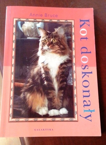 książka Kot doskonały - super