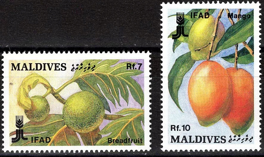 Malediwy ** - owoce