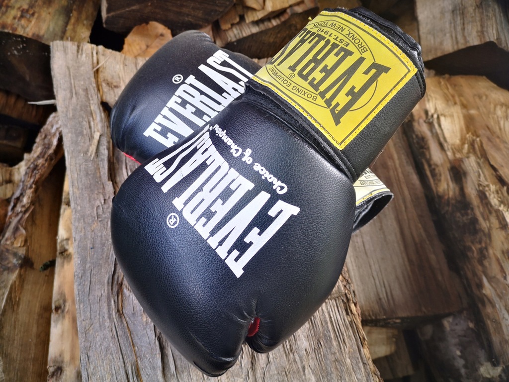 Everlast rękawice boksierskie 10.oz Bronx New York