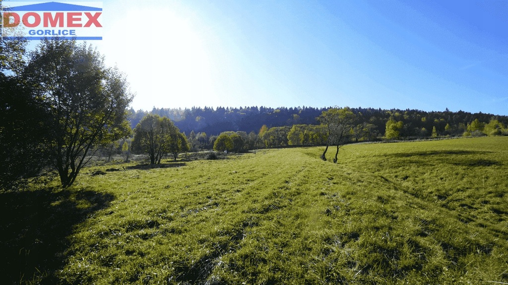 Działka, Klimkówka, Ropa (gm.), 11300 m²