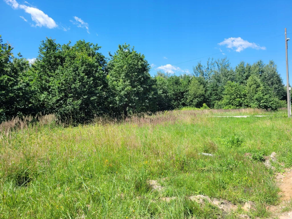 Działka, Bliżyn, Bliżyn (gm.), 2258 m²
