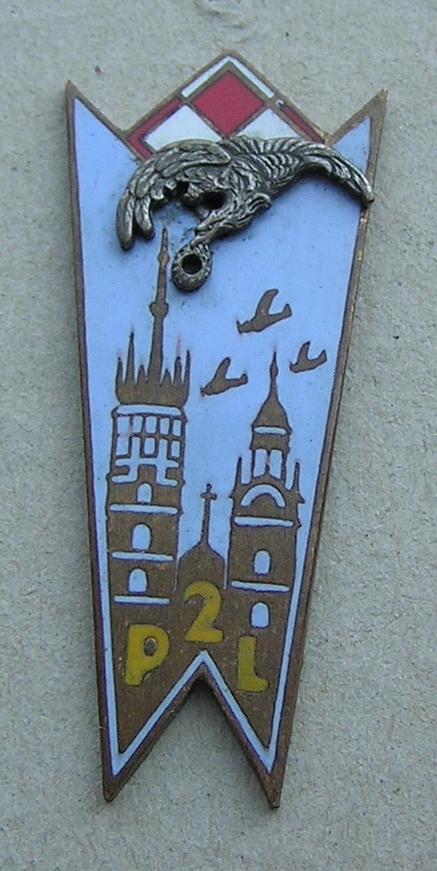 Odznaka 2 Pułku Lotniczego stara kopia