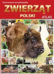 Atlas. Ilustrowana Encyklopedia Zwierząt Polski Fenix 182605