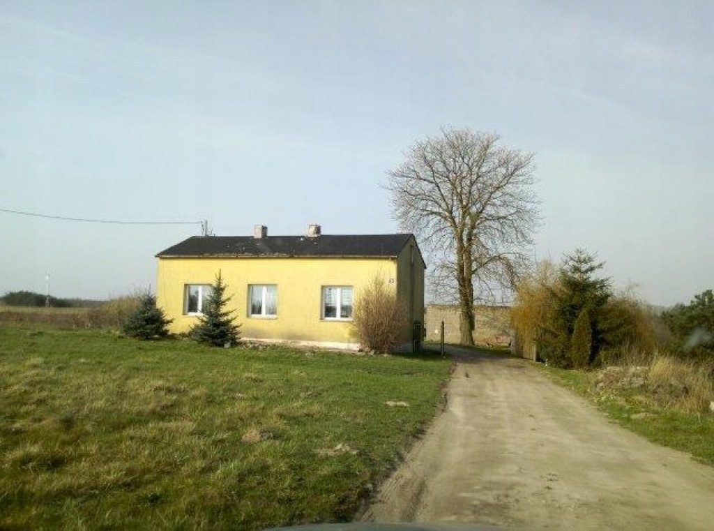 Dom, Lubień Kujawski, Lubień Kujawski (gm.), 64 m²
